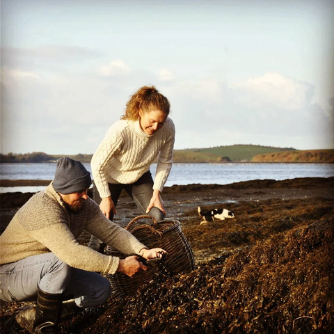 WASI Seaweed